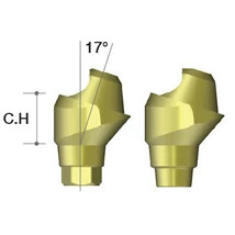 Multi-unit Angled Abutment C=3.5/ A=17/ Hex 2.3