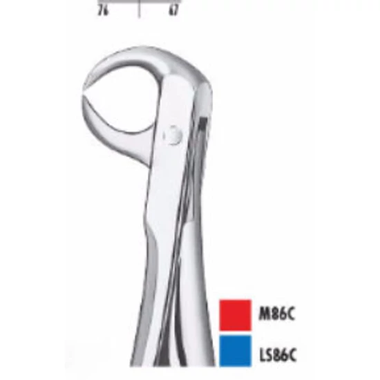 Fogó alsó moláris  CM