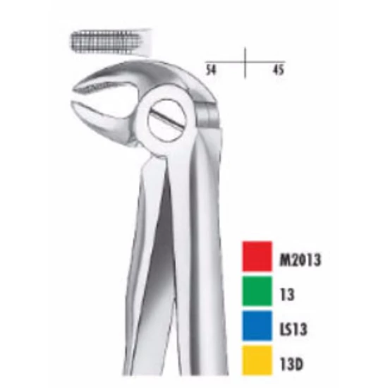Fogó alsó front+premoláris