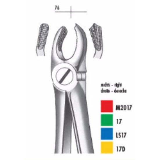 Fogó felső moláris jobb E17 CM