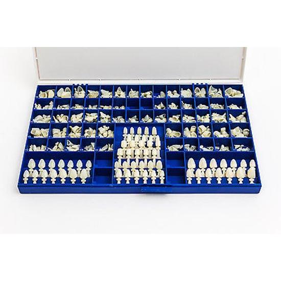 Stripkorona F 5 PCS 331
