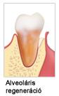 osteobiol_indikaciok_derma.jpg