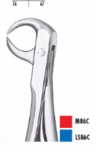 Fogó alsó moláris  CM