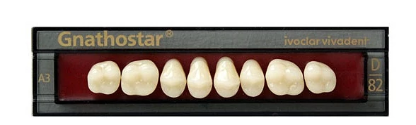 Gnathostar fog felső rágó 01 80